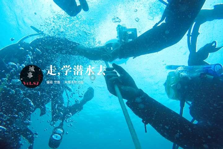 小猫钓鱼正版下载中文版
